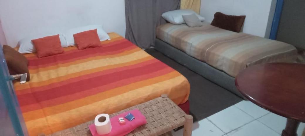 Apartment 2&3